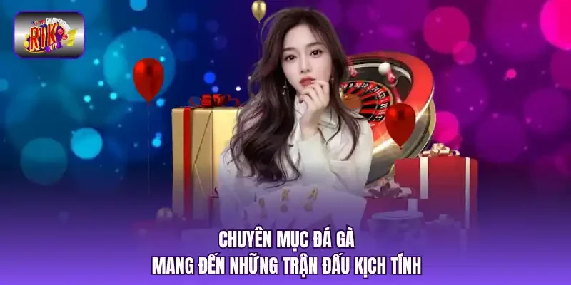 Chuyên mục đá gà mang đến những trận đấu kịch tính.