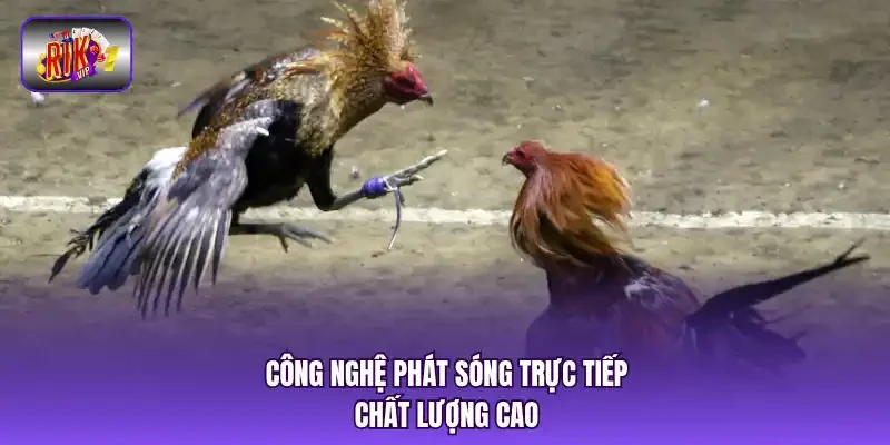 Công nghệ phát sóng trực tiếp chất lượng cao.