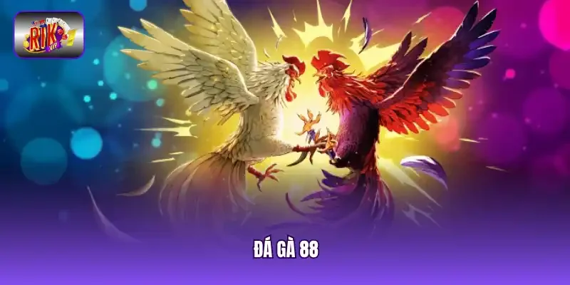 Đá gà 88