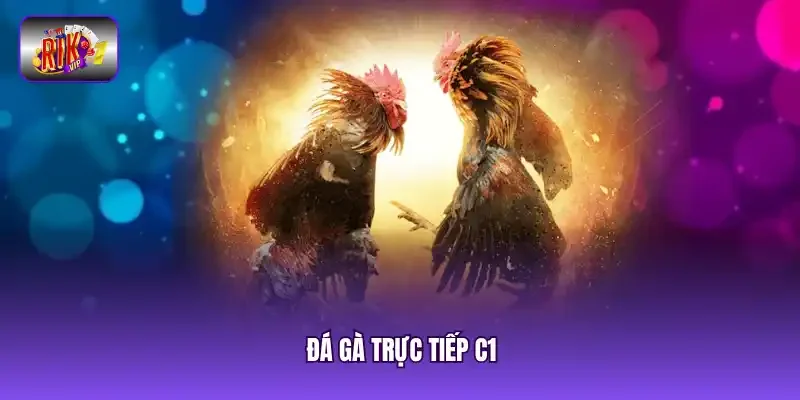 đá gà trực tiếp C1 t