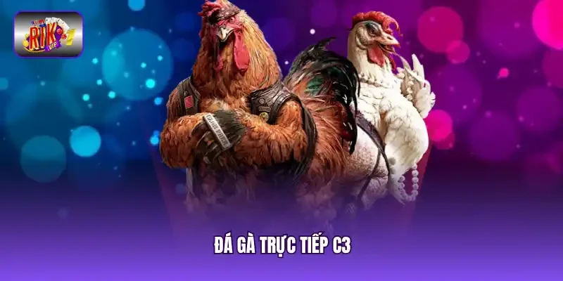 đá gà trực tiếp C3