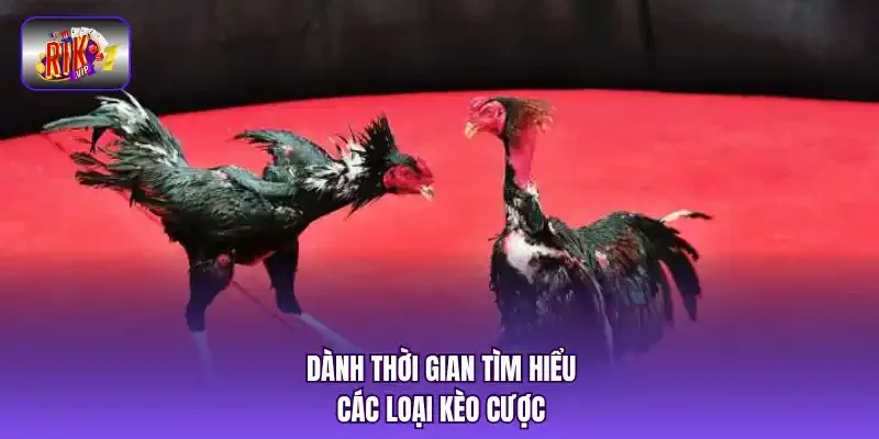 Dành thời gian tìm hiểu các loại kèo cược.