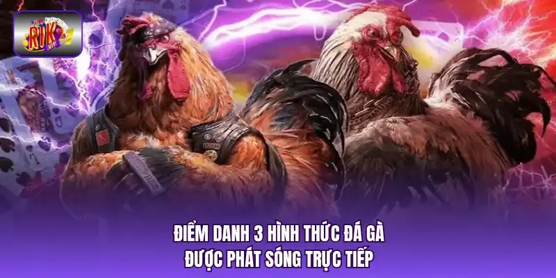 Điểm danh 3 hình thức đá gà được phát sóng trực tiếp