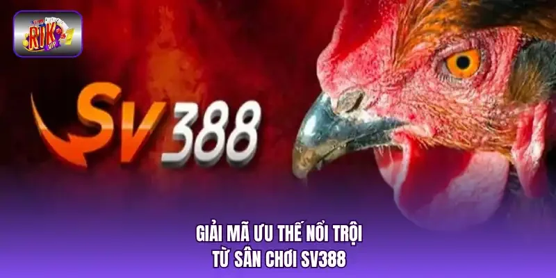 Giải mã ưu thế nổi trội từ sân chơi SV388
