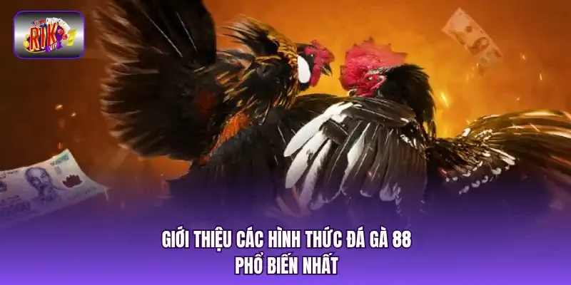 Giới thiệu các hình thức đá gà 88 phổ biến nhất