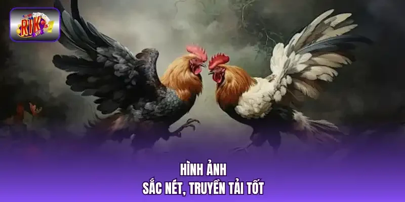 Hình ảnh sắc nét, truyền tải tốt.