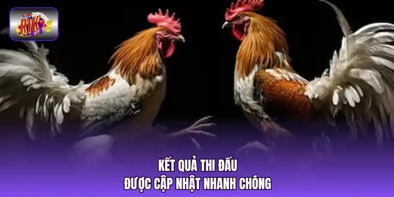 Kết quả thi đấu được cập nhật nhanh chóng