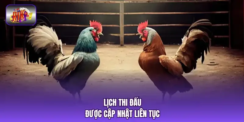 Lịch thi đấu được cập nhật liên tục