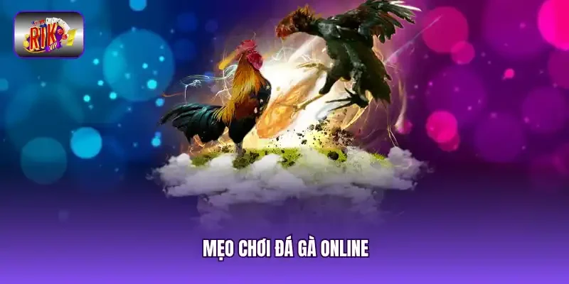 mẹo chơi đá gà online