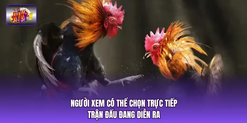 Người xem có thể chọn trực tiếp trận đấu đang diễn ra.