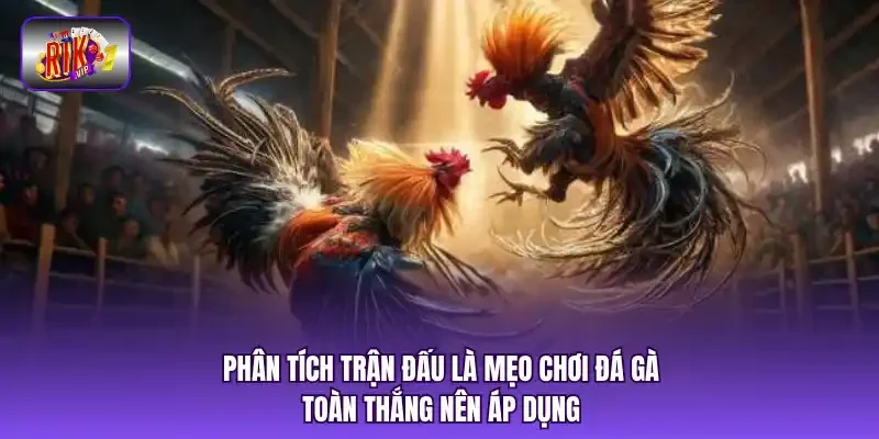 Phân tích trận đấu là mẹo chơi đá gà toàn thắng nên áp dụng