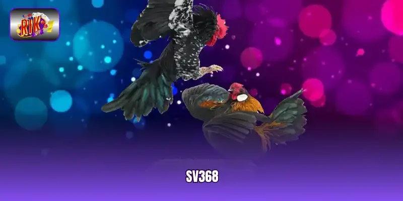 SV368