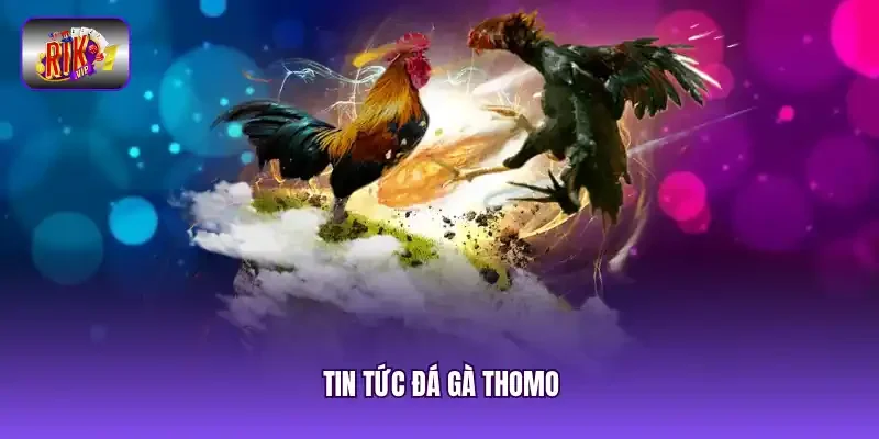 Tin tức đá gà thomo