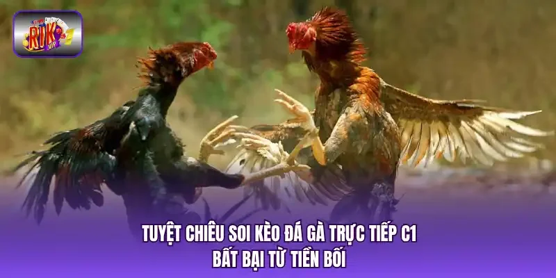 Tuyệt chiêu soi kèo đá gà trực tiếp C1 bất bại từ tiền bối
